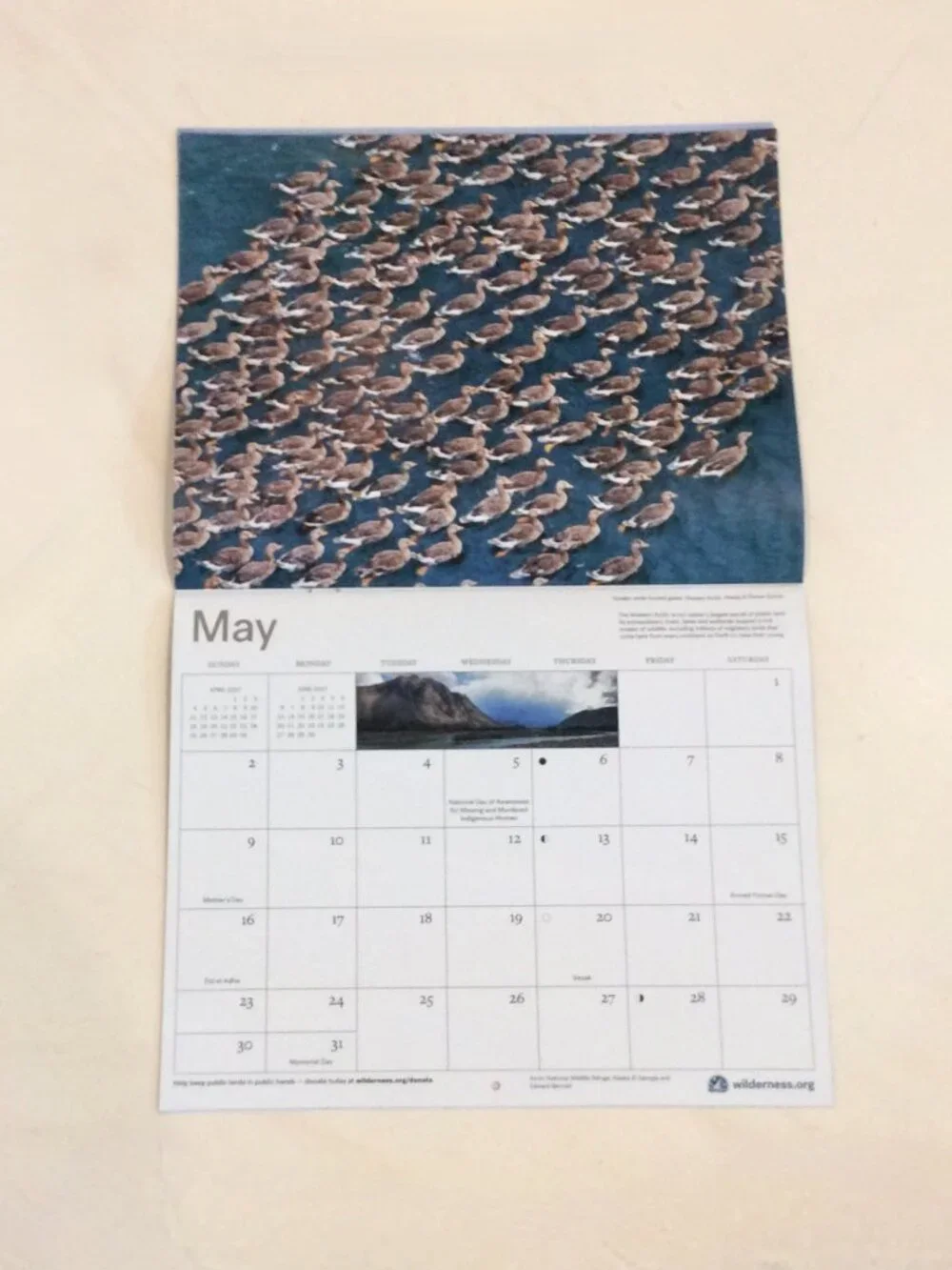 2027 The Wilderness Society 16-Month Wall Calendar Animals/Nature/Photography